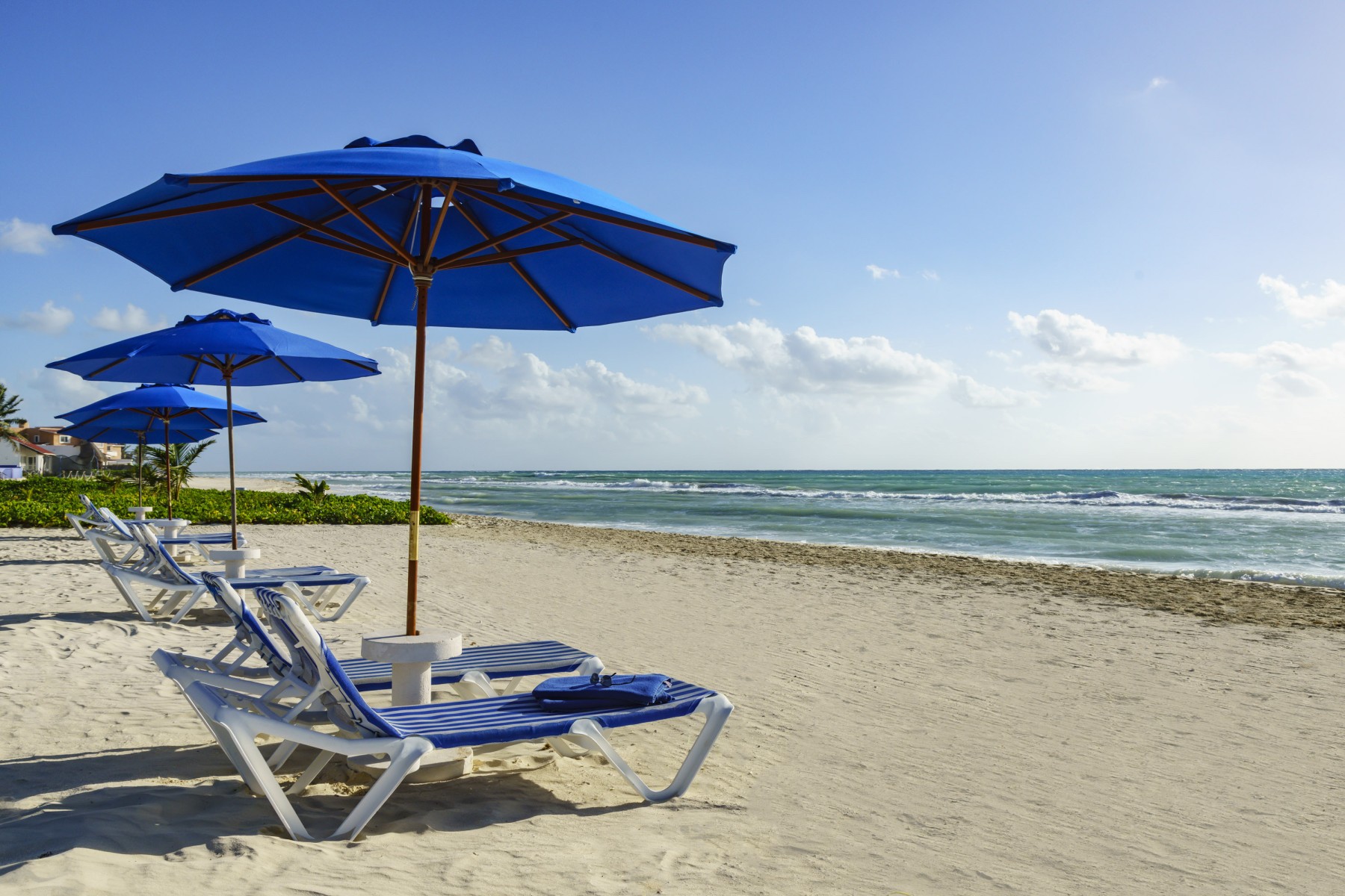 The Reef Playacar